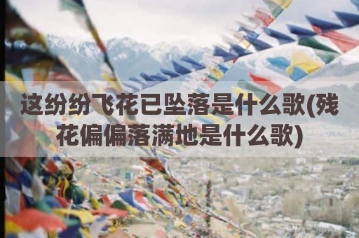 这纷纷飞花已坠落是什么歌(残花偏偏落满地是什么歌)