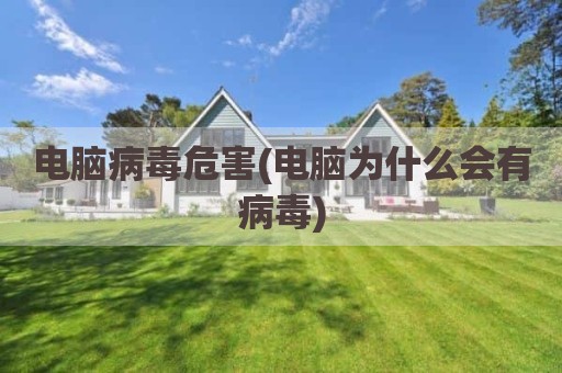 电脑病毒危害(电脑为什么会有病毒)