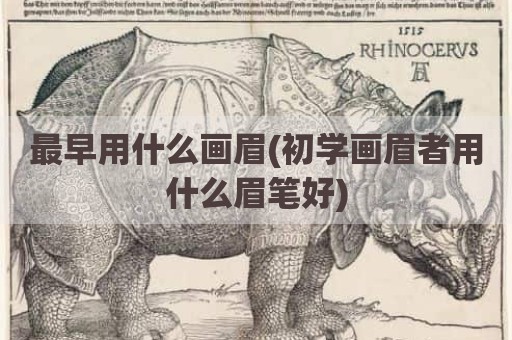 最早用什么画眉(初学画眉者用什么眉笔好)