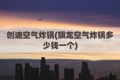创迪空气炸锅(旗龙空气炸锅多少钱一个)