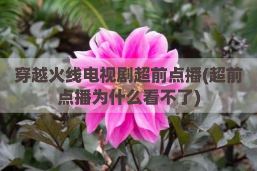 穿越火线电视剧超前点播(超前点播为什么看不了)