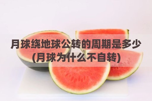 月球绕地球公转的周期是多少(月球为什么不自转)