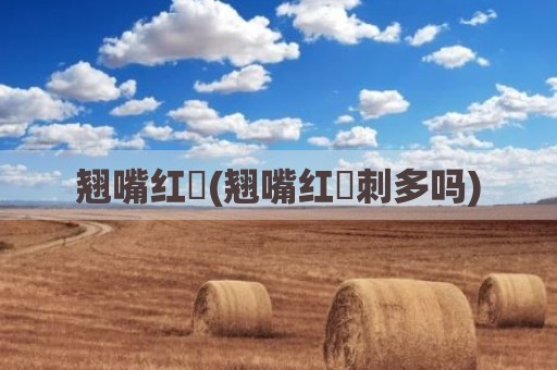 翘嘴红鲌(翘嘴红鲌刺多吗)