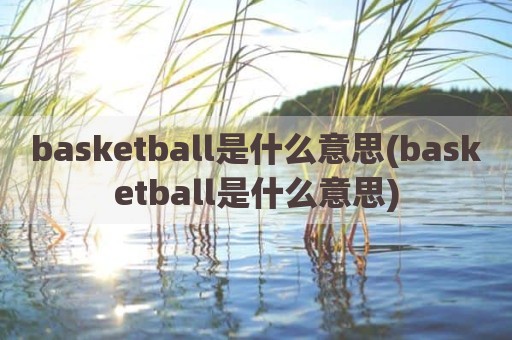 basketball是什么意思(basketball是什么意思)