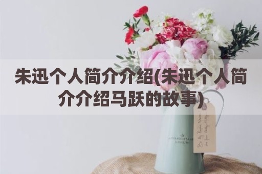 朱迅个人简介介绍(朱迅个人简介介绍马跃的故事)