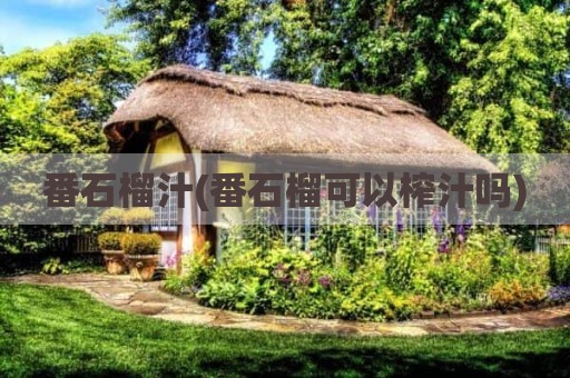 番石榴汁(番石榴可以榨汁吗)