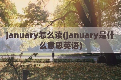 january怎么读(january是什么意思英语)