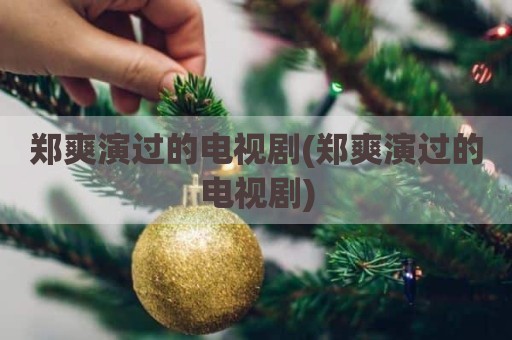 郑爽演过的电视剧(郑爽演过的电视剧)