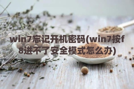 win7忘记开机密码(win7按f8进不了安全模式怎么办)
