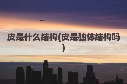 皮是什么结构(皮是独体结构吗)