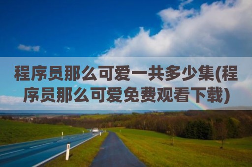 程序员那么可爱一共多少集(程序员那么可爱免费观看下载)