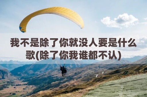 我不是除了你就没人要是什么歌(除了你我谁都不认)