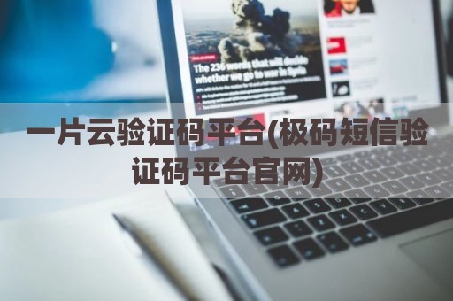 一片云验证码平台(极码短信验证码平台官网)