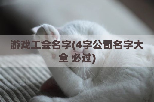 游戏工会名字(4字公司名字大全 必过)