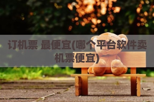 订机票 最便宜(哪个平台软件卖机票便宜)