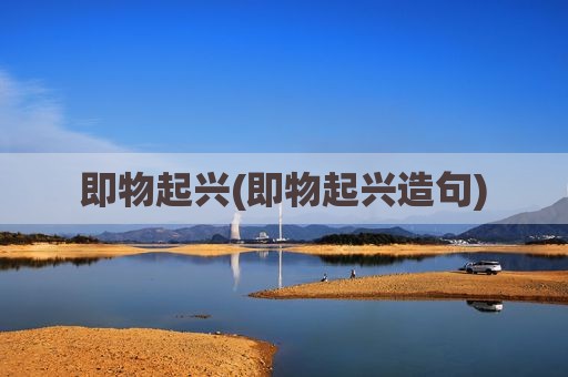 即物起兴(即物起兴造句)