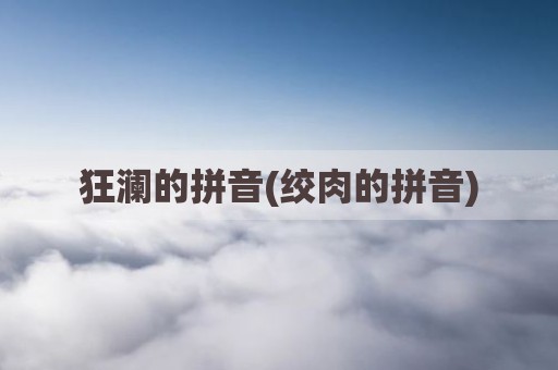 狂澜的拼音(绞肉的拼音)