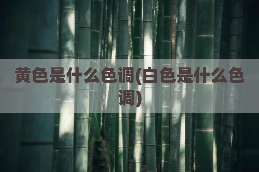 黄色是什么色调(白色是什么色调)