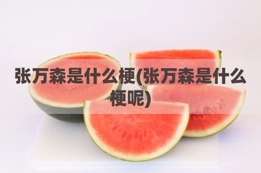 张万森是什么梗(张万森是什么梗呢)