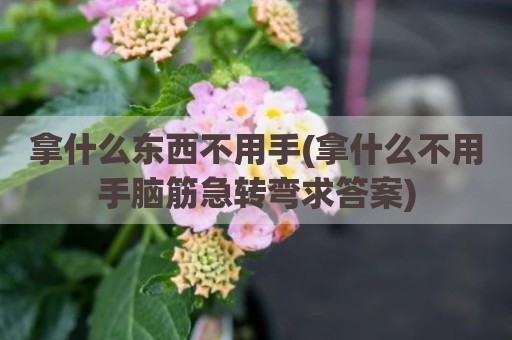 拿什么东西不用手(拿什么不用手脑筋急转弯求答案)