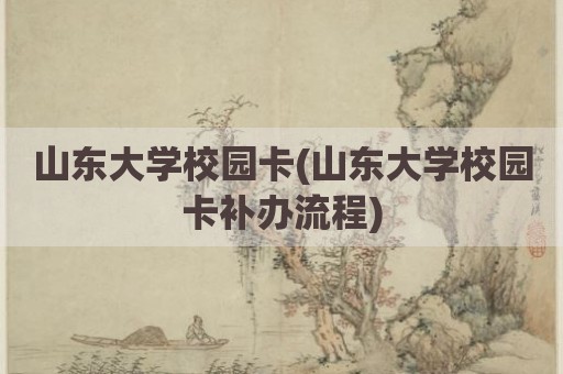 山东大学校园卡(山东大学校园卡补办流程)