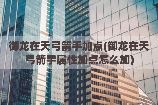 御龙在天弓箭手加点(御龙在天弓箭手属性加点怎么加)
