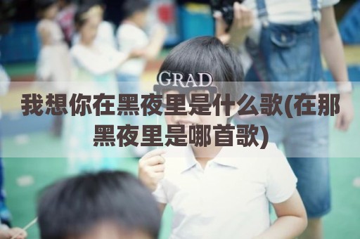 我想你在黑夜里是什么歌(在那黑夜里是哪首歌)