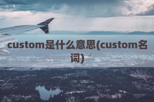 custom是什么意思(custom名词)
