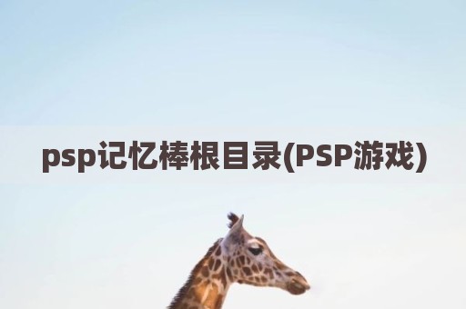 psp记忆棒根目录(PSP游戏)