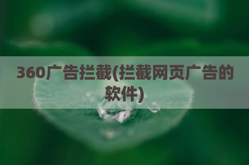 360广告拦截(拦截网页广告的软件)