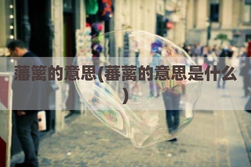 藩篱的意思(蕃蓠的意思是什么)