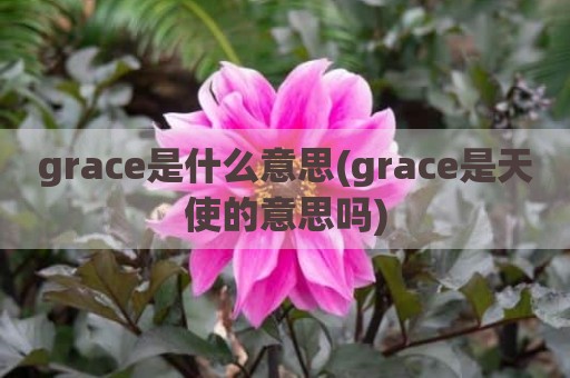 grace是什么意思(grace是天使的意思吗)