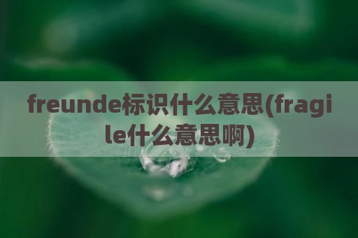 freunde标识什么意思(fragile什么意思啊)