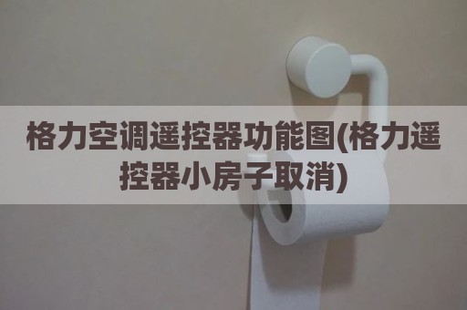 格力空调遥控器功能图(格力遥控器小房子取消)