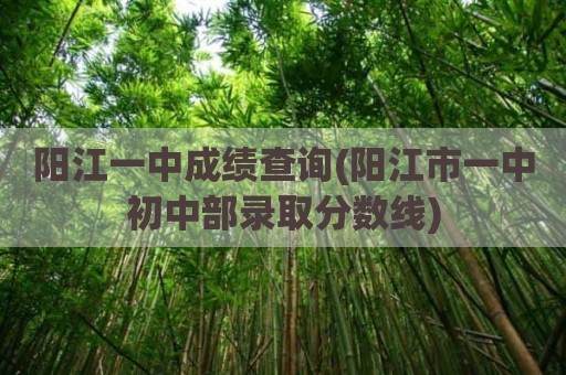阳江一中成绩查询(阳江市一中初中部录取分数线)