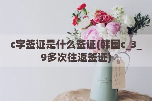 c字签证是什么签证(韩国c_3_9多次往返签证)