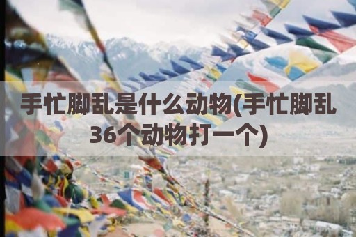 手忙脚乱是什么动物(手忙脚乱36个动物打一个)