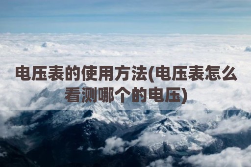 电压表的使用方法(电压表怎么看测哪个的电压)