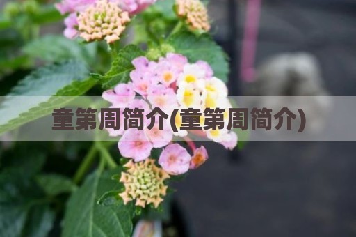 童第周简介(童第周简介)