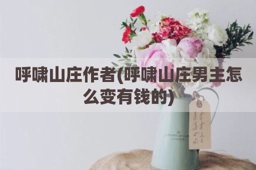 呼啸山庄作者(呼啸山庄男主怎么变有钱的)