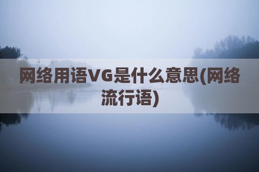 网络用语VG是什么意思(网络流行语)