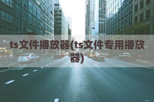ts文件播放器(ts文件专用播放器)