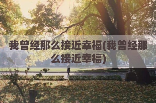 我曾经那么接近幸福(我曾经那么接近幸福)