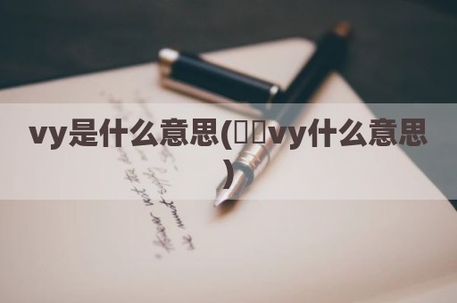 vy是什么意思(乀乁vy什么意思)