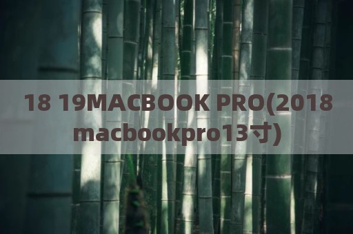 18 19MACBOOK PRO(2018macbookpro13寸)