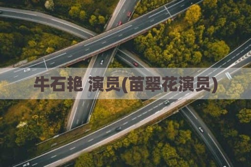 牛石艳 演员(苗翠花演员)