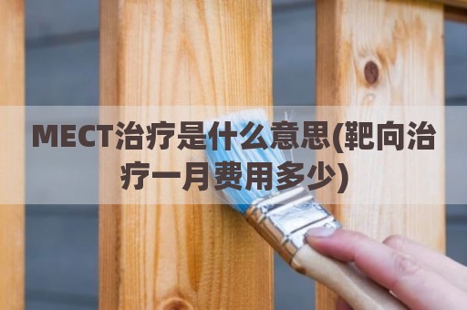 MECT治疗是什么意思(靶向治疗一月费用多少)