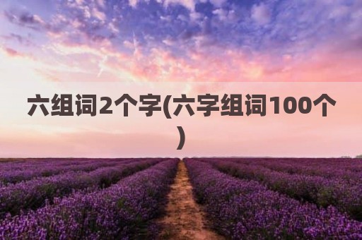 六组词2个字(六字组词100个)