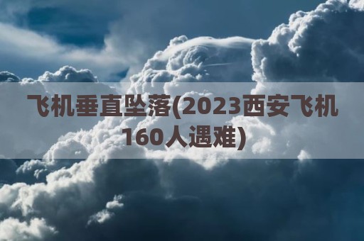 飞机垂直坠落(2023西安飞机160人遇难)