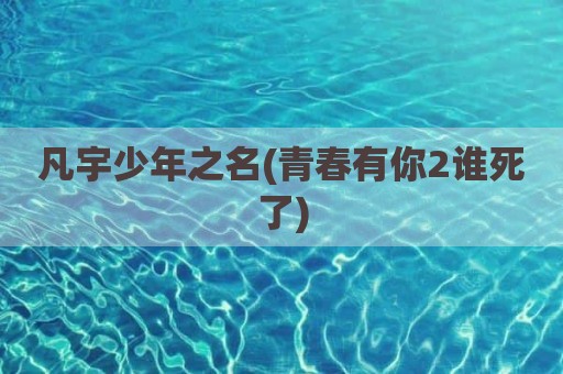 凡宇少年之名(青春有你2谁死了)